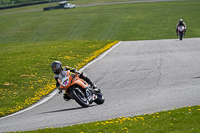 Advanced Group Orange Bikes